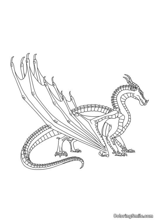 Sort Drage - Farvelægningsside