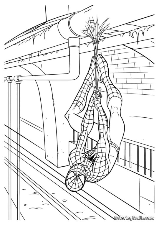 Ny Spider-Man Ny Spider-Man - Farvelægningsside