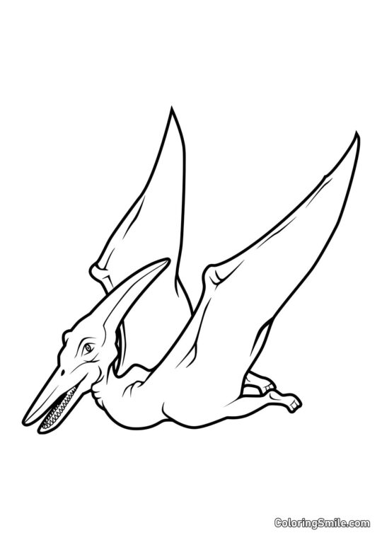 Pteranodon - Farvelægningsside