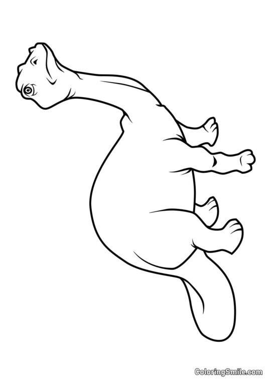 Brontosaurus - Farvelægningsside