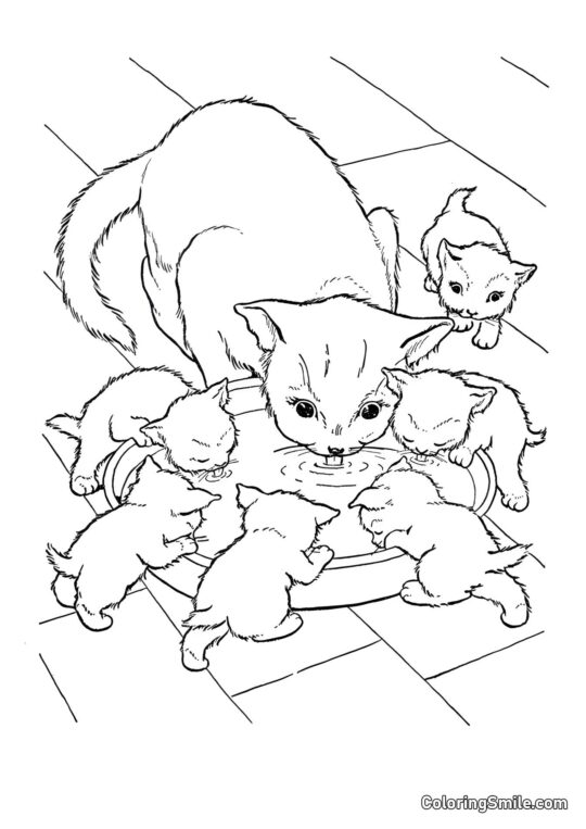 Kat og Seks Killinger - Farvelægningsside