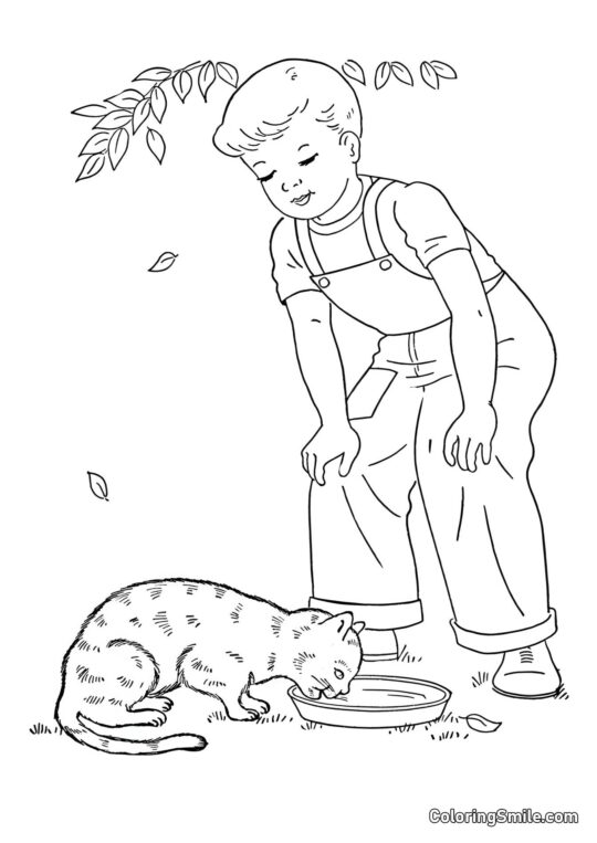 Kat og Dreng - Farvelægningsside