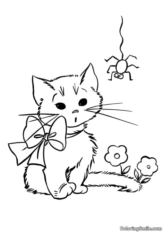 Killing og Edderkop - Farvelægningsside