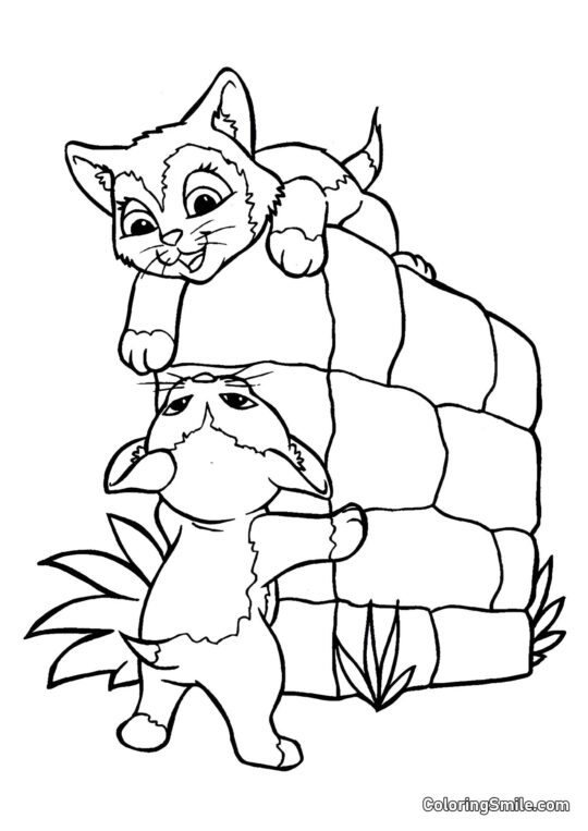 Killinger Har Sjov - Farvelægningsside