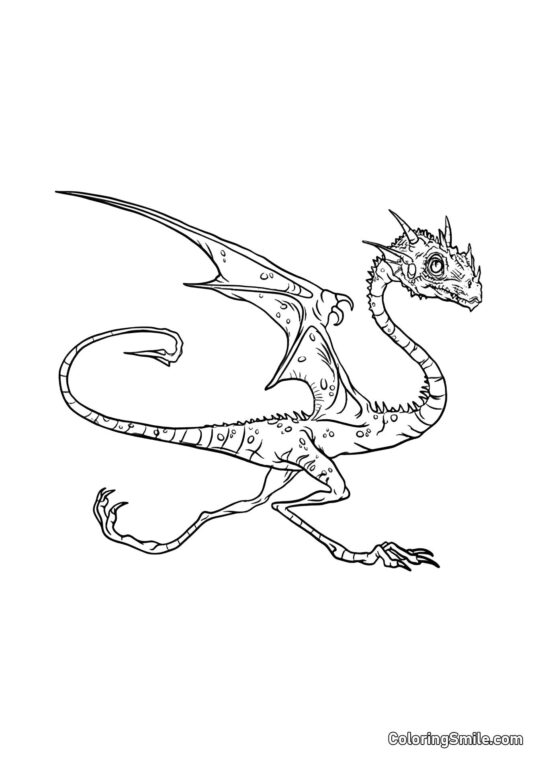 Norbert – Hagrids Drage Norbert – Hagrids Drage - Farvelægningsside