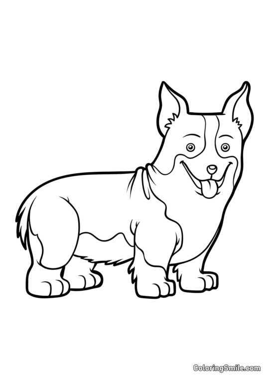 Corgi - Farvelægningsside
