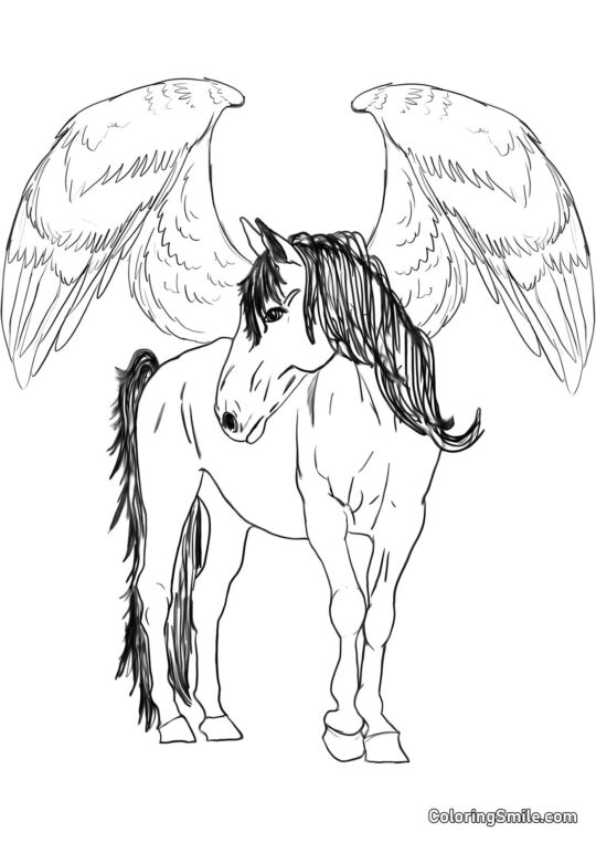 Bevinget Pegasus Bevinget Pegasus - Farvelægningsside