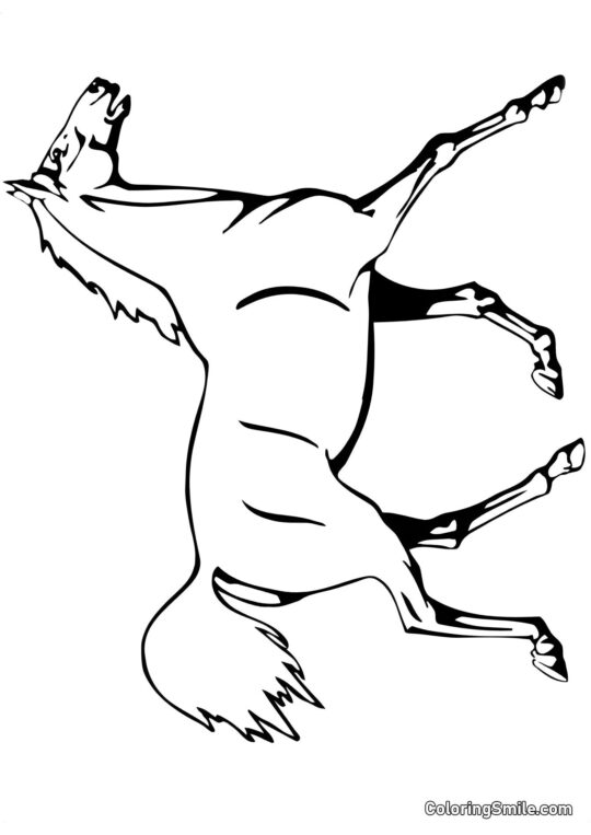 Hest på en udstilling Hest på en udstilling - Farvelægningsside