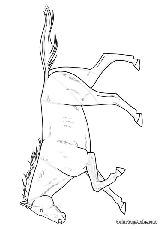 Graciøs hest Graciøs hest - Farvelægningsside