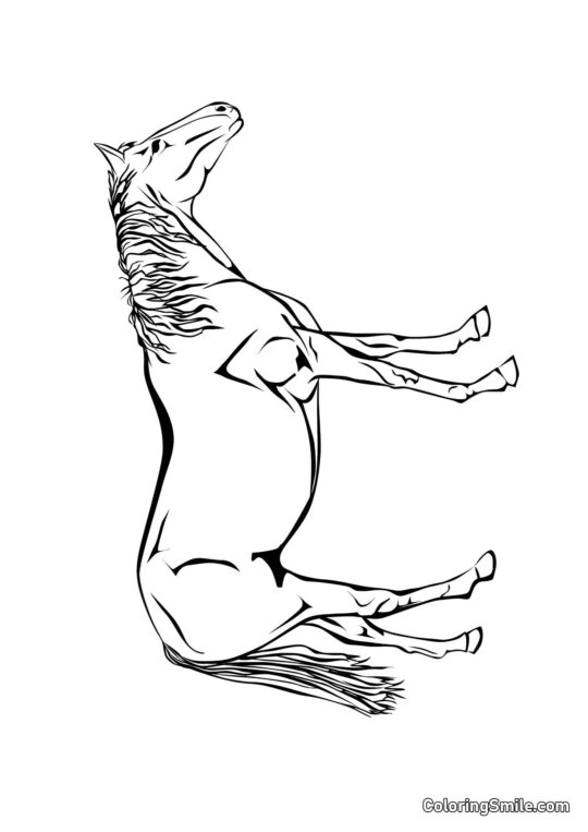 Udsøgt hest Udsøgt hest - Farvelægningsside