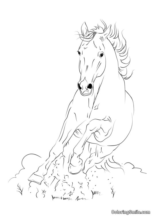 Flyv som vinden hest Flyv som vinden hest - Farvelægningsside